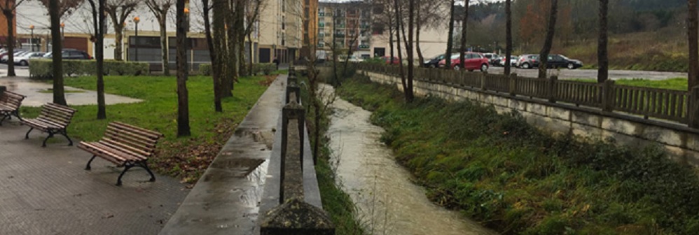 Arroyo Toloto